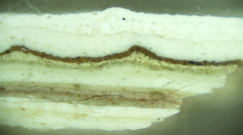 Paint sample cross section