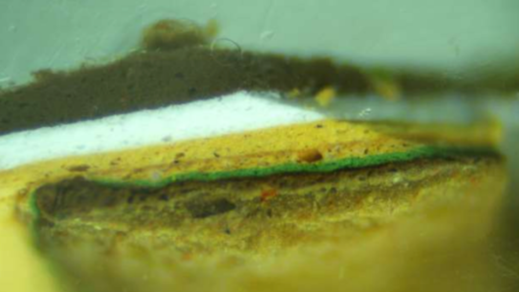 Microscopic view of a paint sample from the north elevation window sill of the Schwartz Family House
